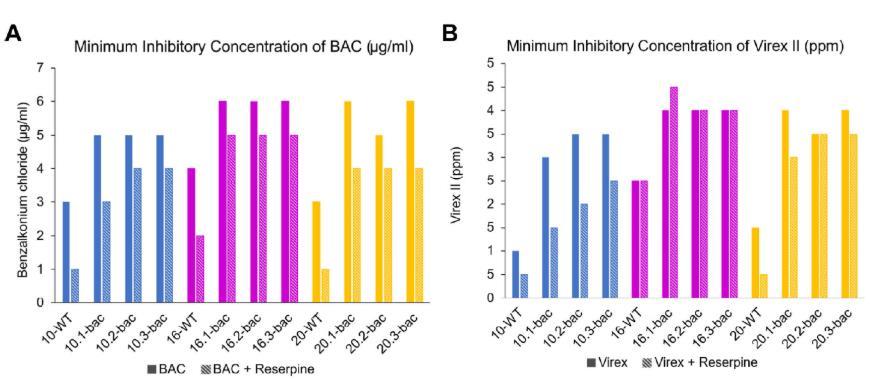 抑制外排泵对祖先型和BAC进化型单核细胞增多性李斯特菌（L. monocytogenes）菌株中BAC及商用消毒剂耐受性的效应