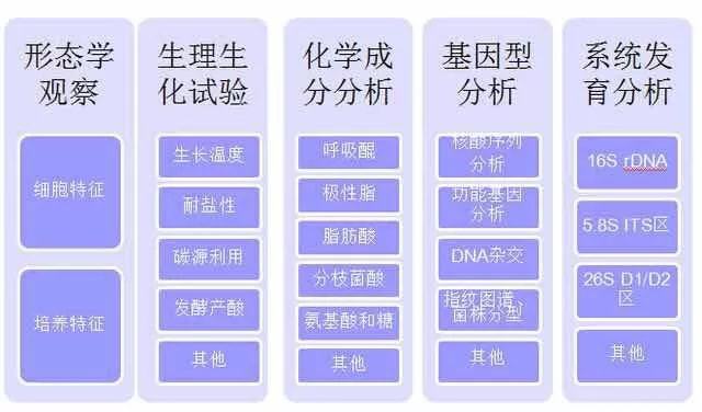 微生物检测基础知识