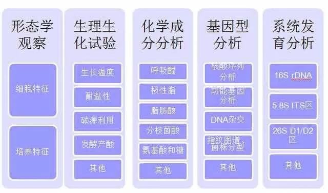 微生物检测基础知识