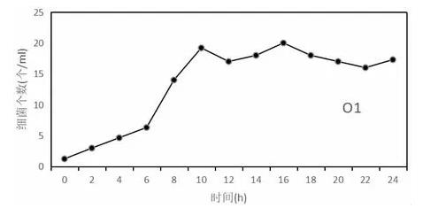 球形芽孢杆菌生长曲线变化