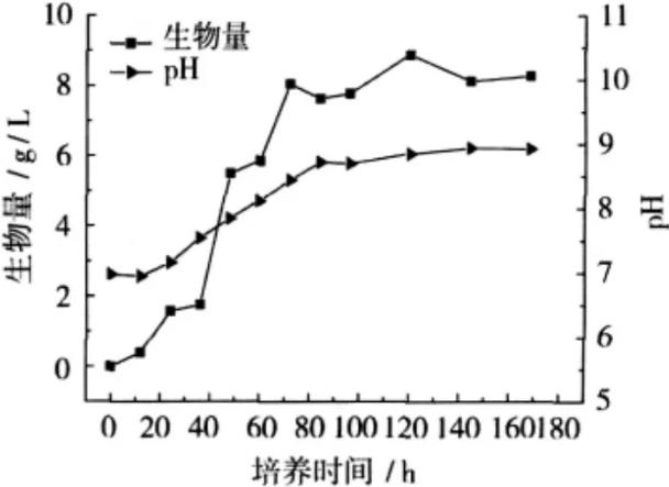 ​刺糖多孢菌生长曲线的测定与最佳培养温度