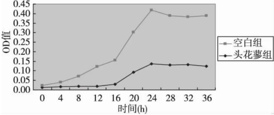 苗药头花蓼可抑制幽门螺杆菌(H.pylori)生长