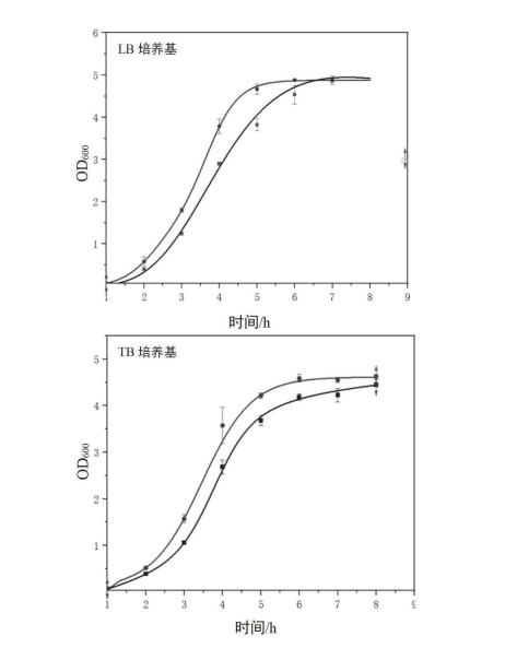 多抗噬菌体菌株大肠杆菌E.coli PRE12在LB培养基和TB培养基下的生长曲线图