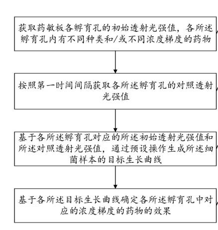 观察细菌生长变化，判断孵育孔内药物杀菌或抑菌效果