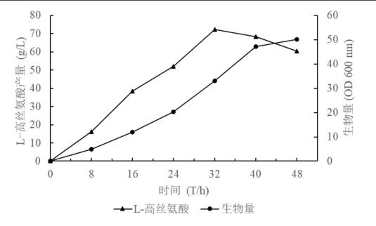 高产L-高丝氨酸的重组大肠杆菌的构建方法及应用