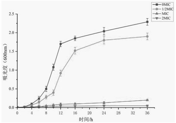 桑酮G对单增李斯特菌生长曲线的影响与作用