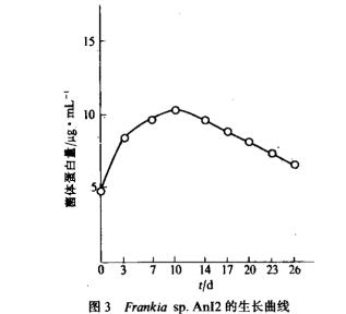 蒙自桤木根瘤中分离的Frankia An12菌株生长曲线测定