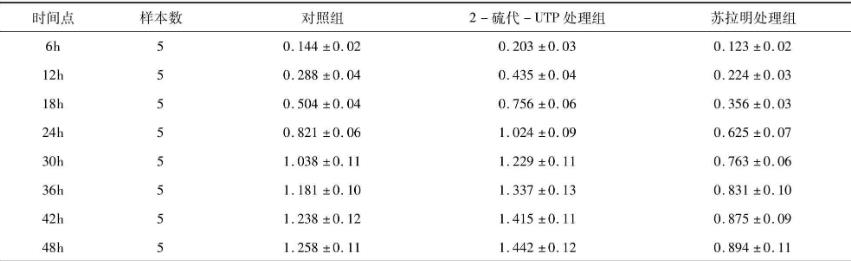 探究P2Y2受体在人宫颈癌细胞（Hela细胞）增殖过程中的作用
