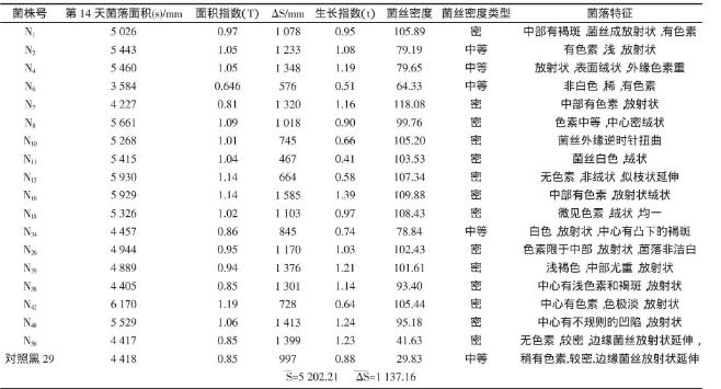 野生黑木耳N56菌株分离纯化、菌丝生长速率实验（一）