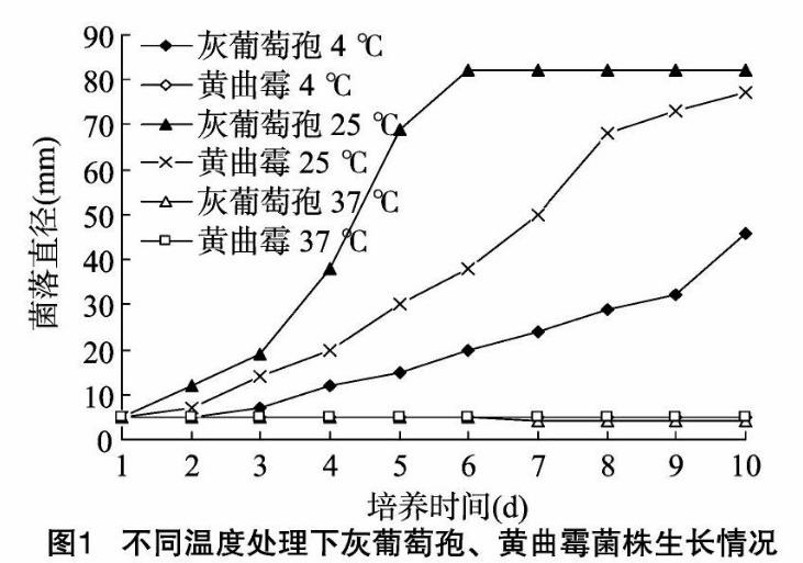 不同温度、pH值、光照及培养基对灰葡萄孢、黄曲霉菌株生长影响