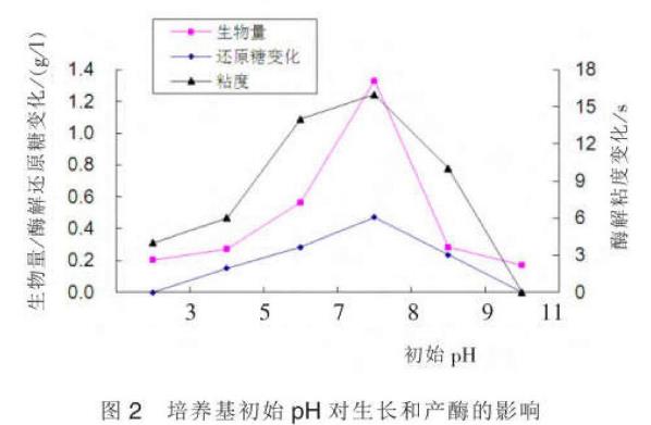 不同碳源、氮源、培养温度、PH值对褐藻酸降解菌AGN12菌生长及产酶的影响