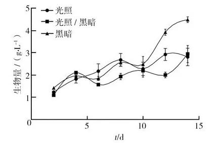 不同光照、pH条件对血红密孔菌培养过程中生物量、总抗氧化能力的影响（一）