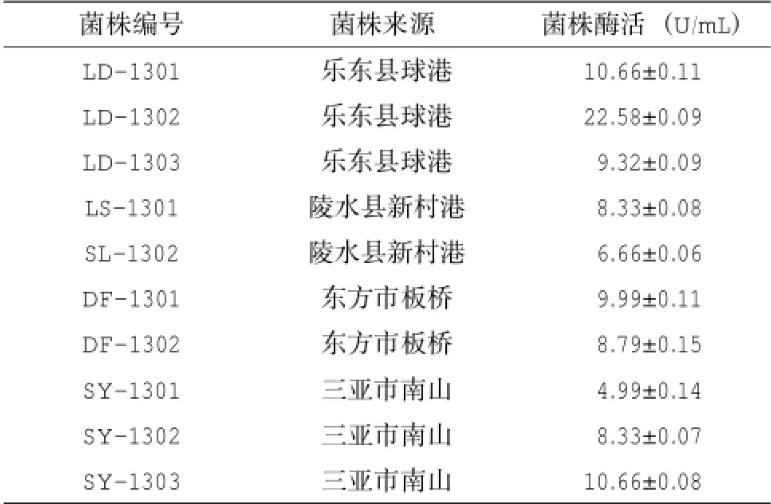 产脂肪酶地衣芽孢杆菌LD-1302筛选、培养基及产酶条件研究（二）