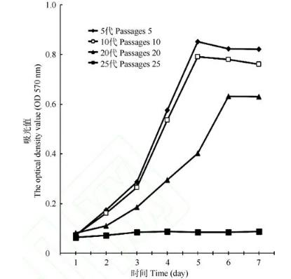 朱鹮细胞系的建立、体外生长特征、性染色体的荧光原位杂交鉴定（二）