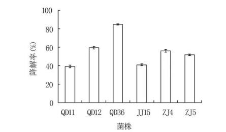 呕吐毒素又叫什么？降解呕吐毒素菌株特征、危害研究