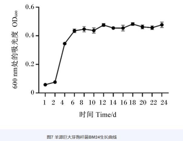 巨大芽孢杆菌BM24生长曲线、耐药性、益生潜力评估及药敏试验（四）