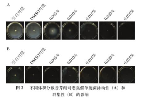 香芹酚对恶臭假单胞菌生长、运动能力、产胞外蛋白酶和生物被膜能力影响（二）