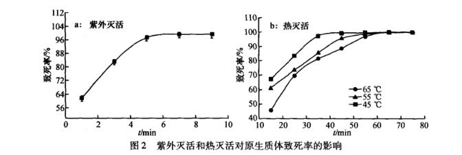 罗尔阿太菌生长曲线、原生质体制备条件及融合技术（三）