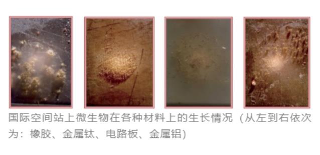 空间站微生物来自哪里？微生物培养法检测技术