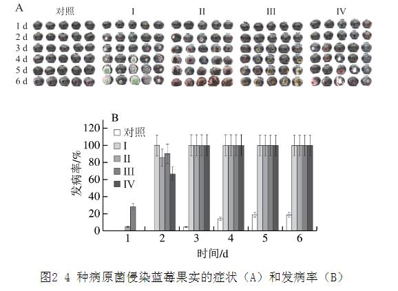 25种天然植物精油对蓝莓致病菌生长曲线、抑制作用（二）
