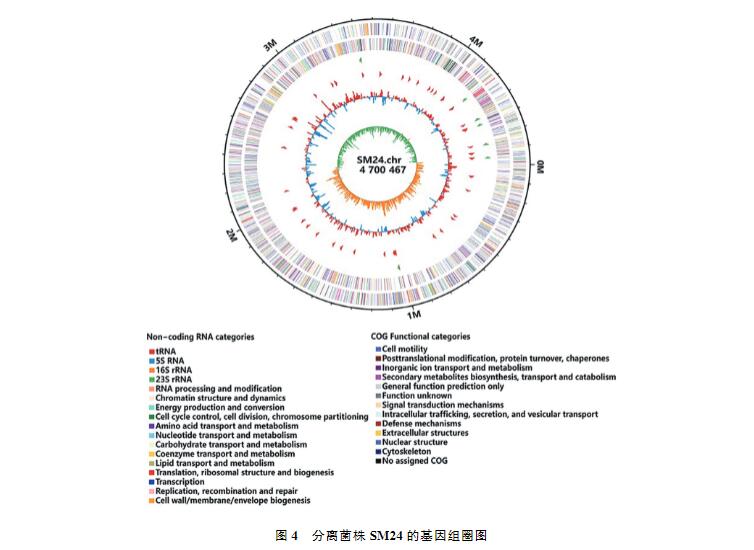 鸡印第安纳株沙门菌生长、致病性及药物敏感性研究（三）