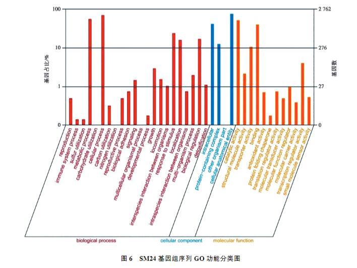 鸡印第安纳株沙门菌生长、致病性及药物敏感性研究（四）