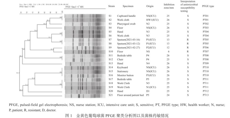 金黄色葡萄球菌PFGE分型、分布特征及药敏情况（二）