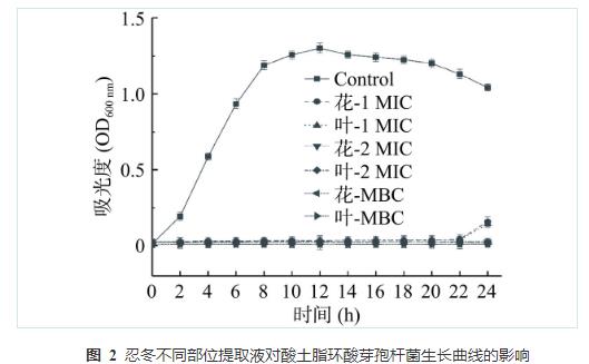 忍冬提取液对酸土脂环酸芽孢杆菌生长曲线、细胞形态和生物膜形成能力的影响（四）