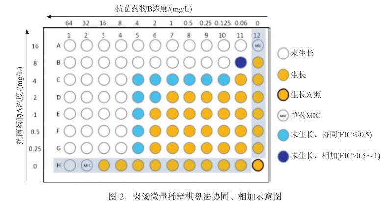 碳青霉烯类耐药革兰阴性菌联合药敏试验方法学、流程、优缺点和结果判读（二）