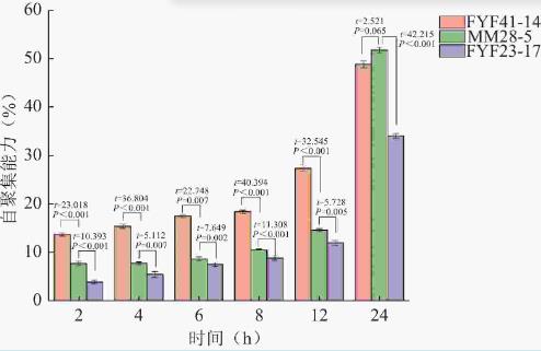 双歧杆菌分离鉴定、耐受性试验、益生特性试验及安全性评价（一）