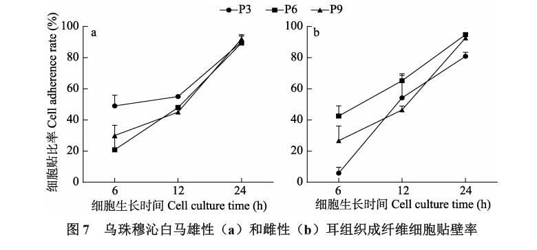 白马耳组织成纤维细胞体外培养、冷冻前及复苏后存活率、生长曲线绘制（三）