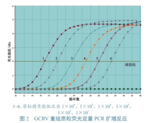 草鱼呼肠孤病毒培养与滴度测定、及在草鱼、CIK细胞上的生长特性研究（三）