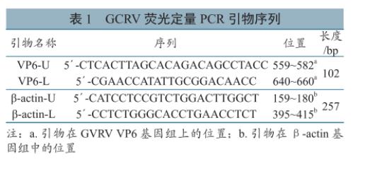 草鱼呼肠孤病毒培养与滴度测定、及在草鱼、CIK细胞上的生长特性研究（一）
