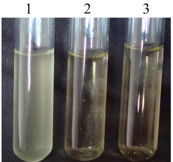 猪传染性胸膜肺炎放线杆菌的致病机制、药物敏感试验结果
