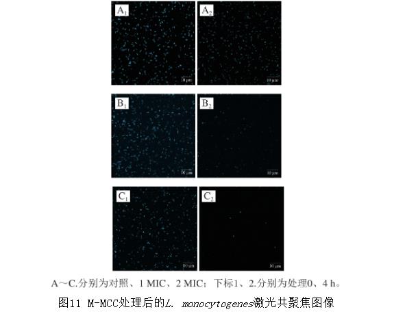 基于革兰氏阳性菌生长曲线等指标评价纤维素基抑菌材料L-Met改性MCC（M-MCC）抑菌效果（四）
