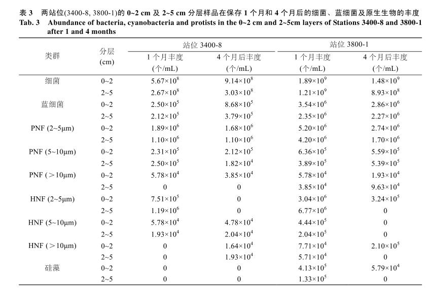 DAPI荧光染色计数法：不同保藏方式时间对海洋微型底栖生物计数结果的影响——结果、结论