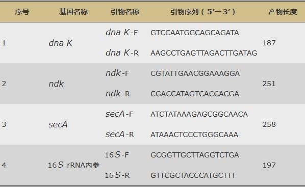 滇黄精水提物促进罗伊氏乳杆菌生长增殖和定植的作用机制（一）