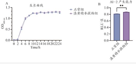 滇黄精水提物促进罗伊氏乳杆菌生长增殖和定植的作用机制（二）