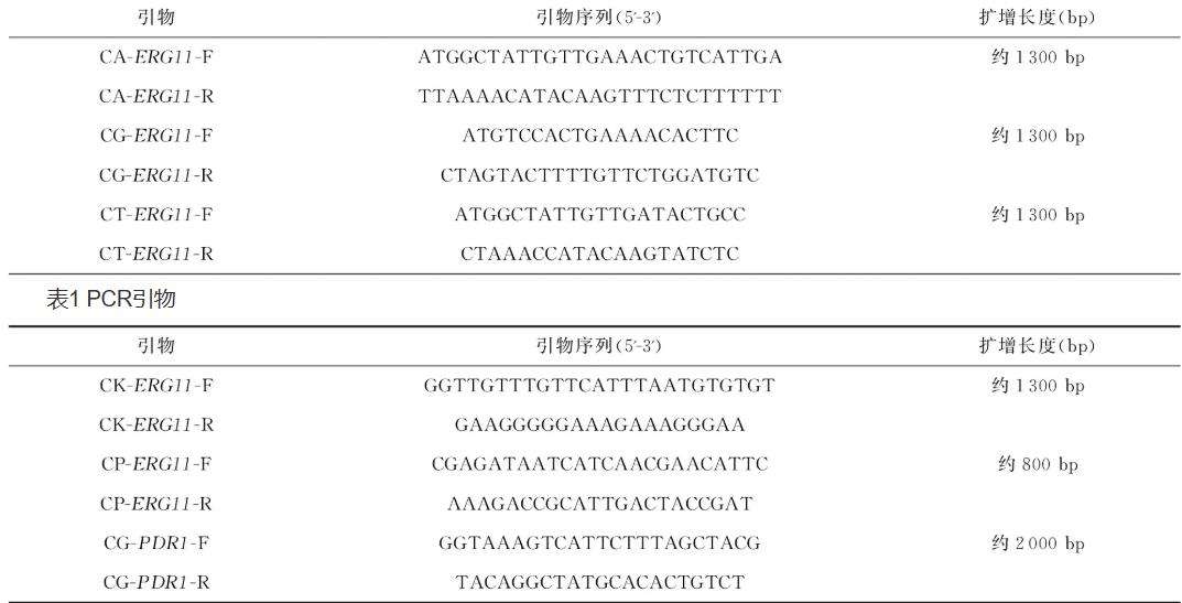 ​新疆地区侵袭性念珠菌感染菌株耐药性特征及分子机制研究（一）