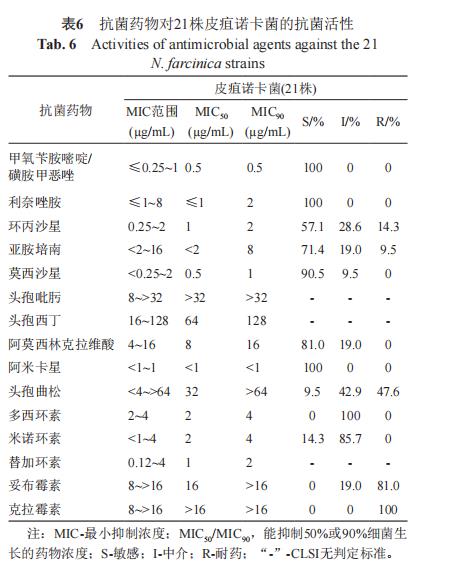 诺卡菌菌株分离、鉴定、抗菌药物敏感性试验——讨论