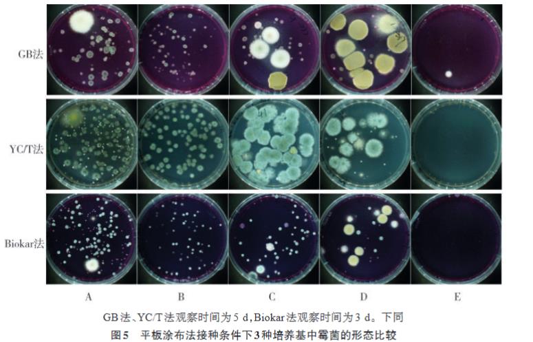 雪茄烟中霉菌培养基种类筛选、计数方法适用性研究（二）