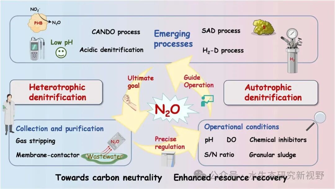 如何精准调控微生物反硝化的代谢路径？让一氧化二氮转化为高价值资源？