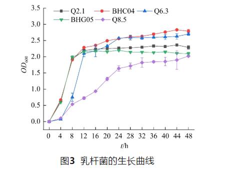 靶向妇科炎症：两株阴道乳杆菌的筛选、抑菌机制与益生潜力分析（二）