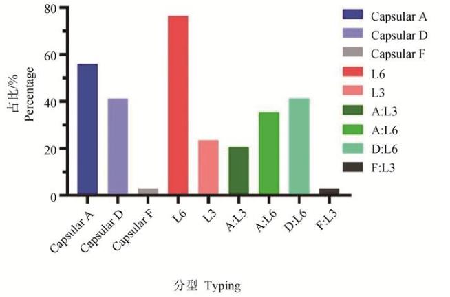 多杀性巴氏杆菌分离鉴定、分型、药敏试验及小鼠致病性试验（二）