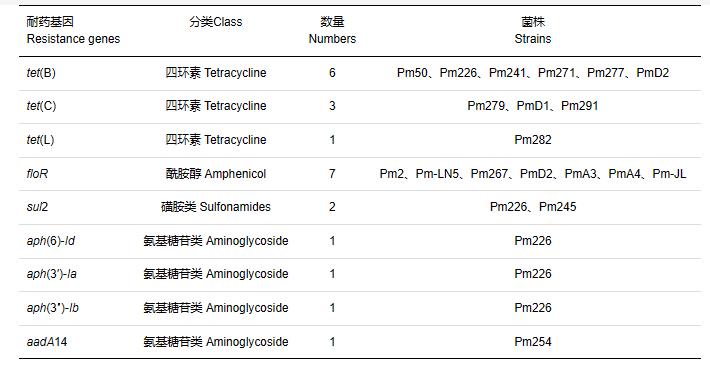 多杀性巴氏杆菌分离鉴定、分型、药敏试验及小鼠致病性试验（四）