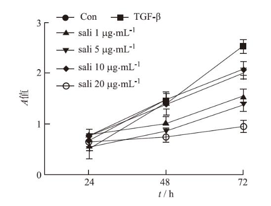 红景天苷对人肺腺癌细胞的上皮-间质转化的影响及作用机制（一）