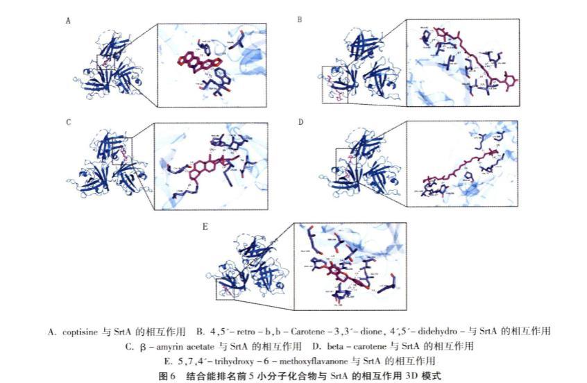 双黄连及各药耐甲氧西林金黄色葡萄球菌生长曲线、毒力因子的影响（四）