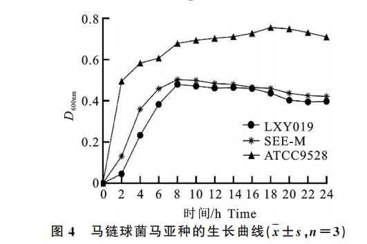 驴源马链球菌马亚种LXY019株的分离鉴定、生长曲线、致病性及耐药性分析（二）