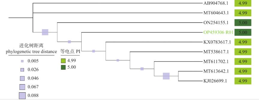 青贮乳酸菌生长曲线、产酸和抑菌能力、抗生素耐药性测定（二）