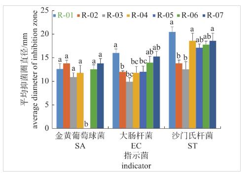 青贮乳酸菌生长曲线、产酸和抑菌能力、抗生素耐药性测定（一）